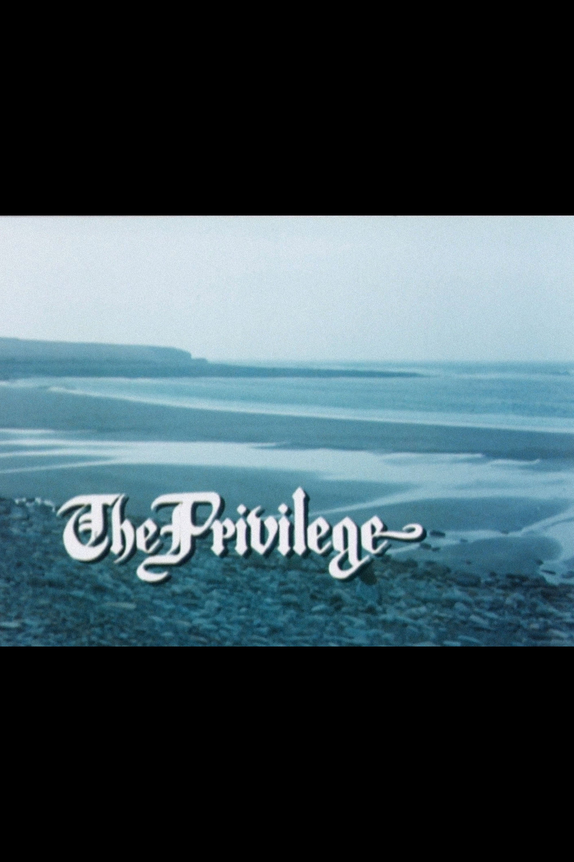 The Privilege (1982) poster