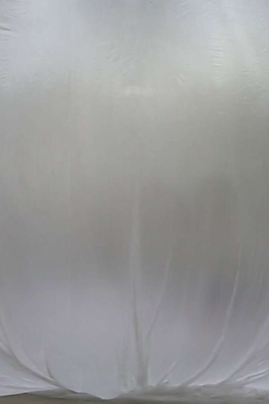 Winfried (2014) poster