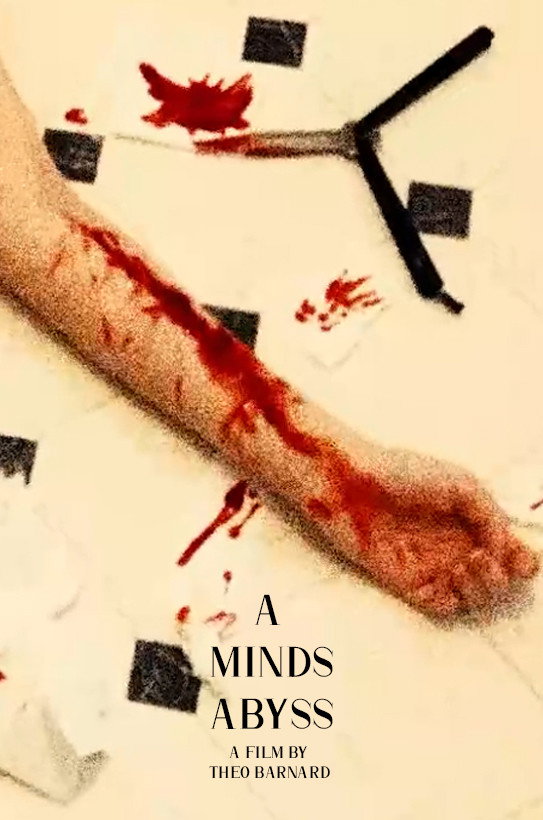 A Minds Abyss (2024) poster