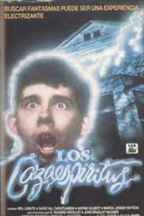 High School Spirits (1986) poster
