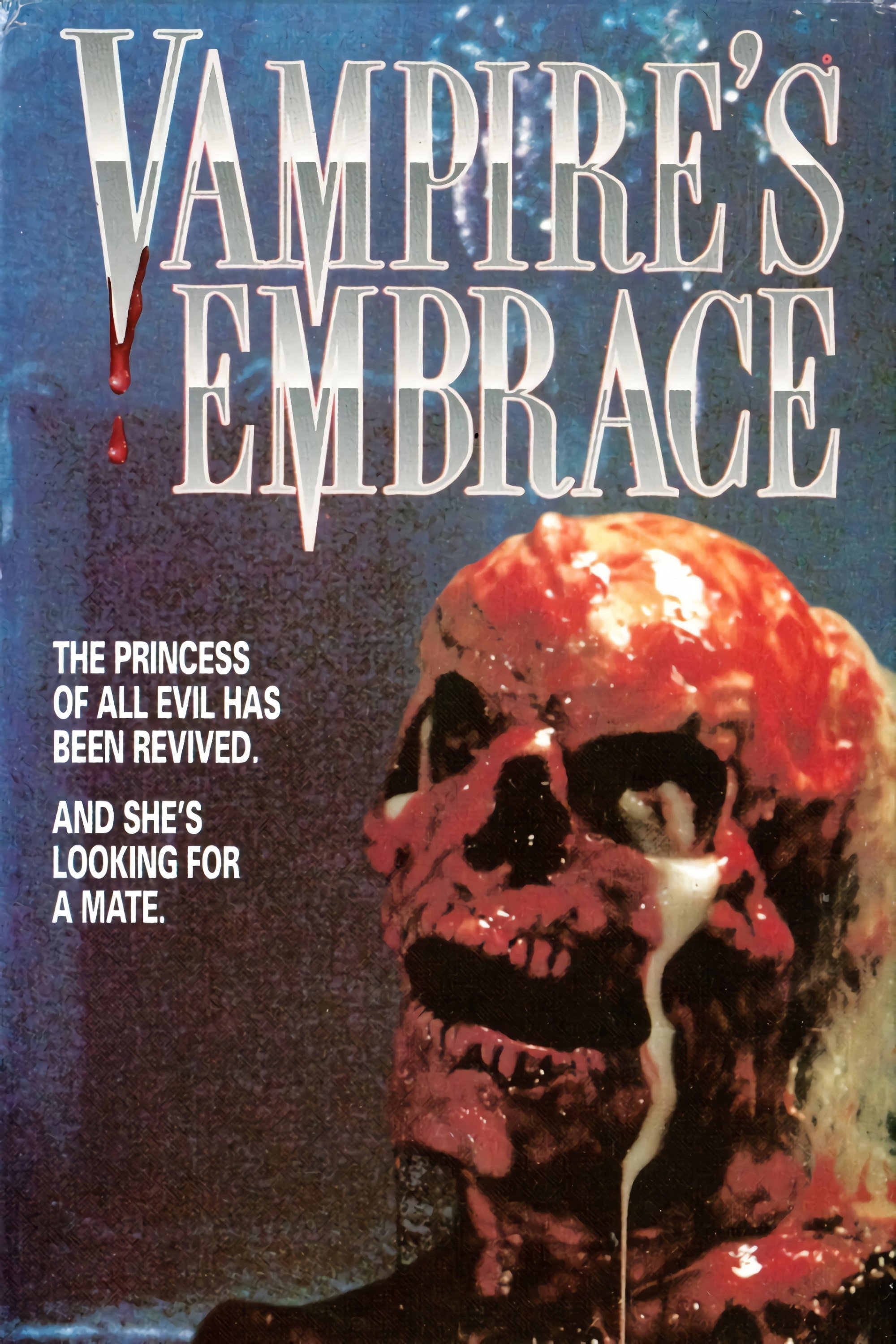 Vampire's Embrace (1991) poster
