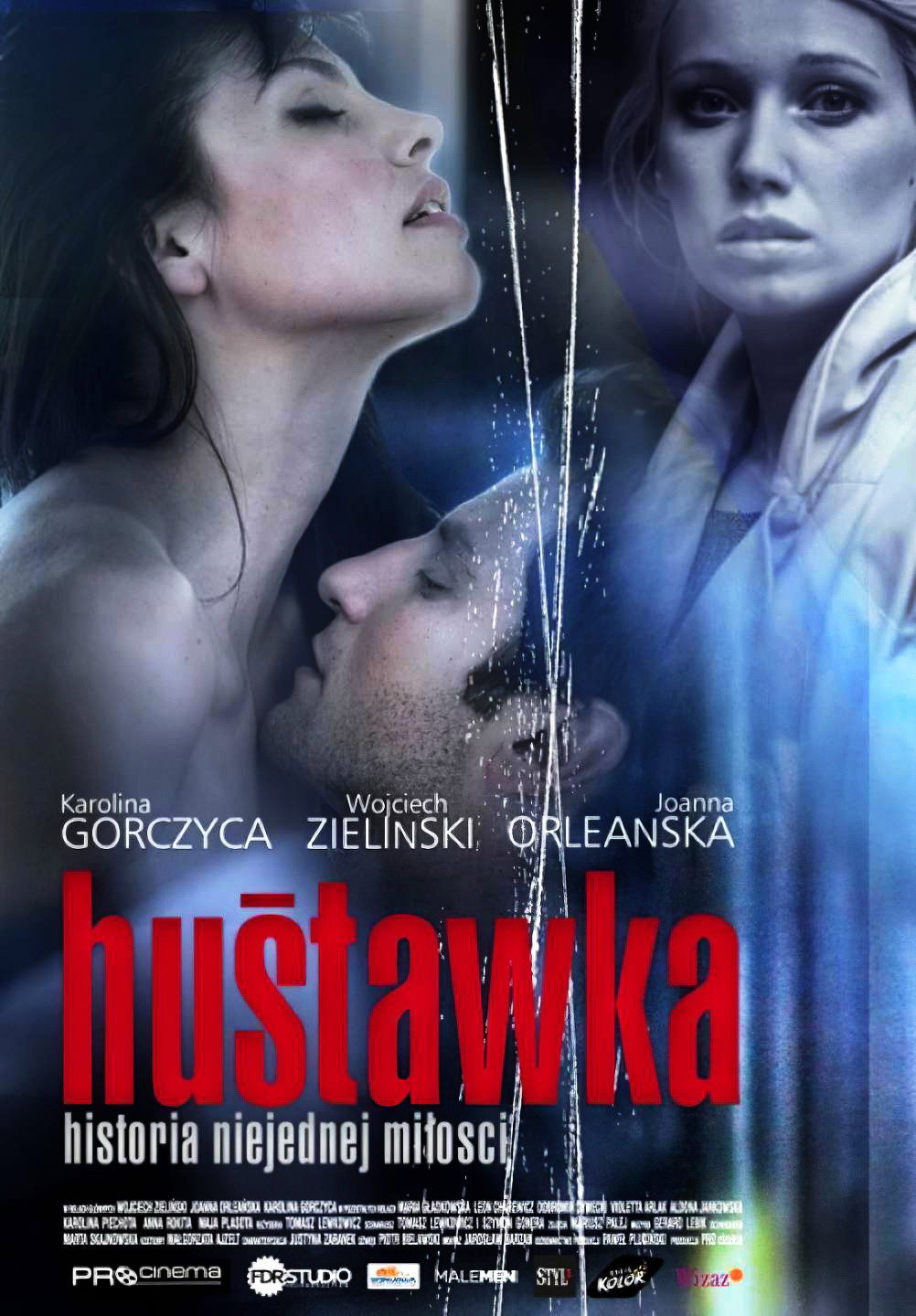 The Swing (2010) poster