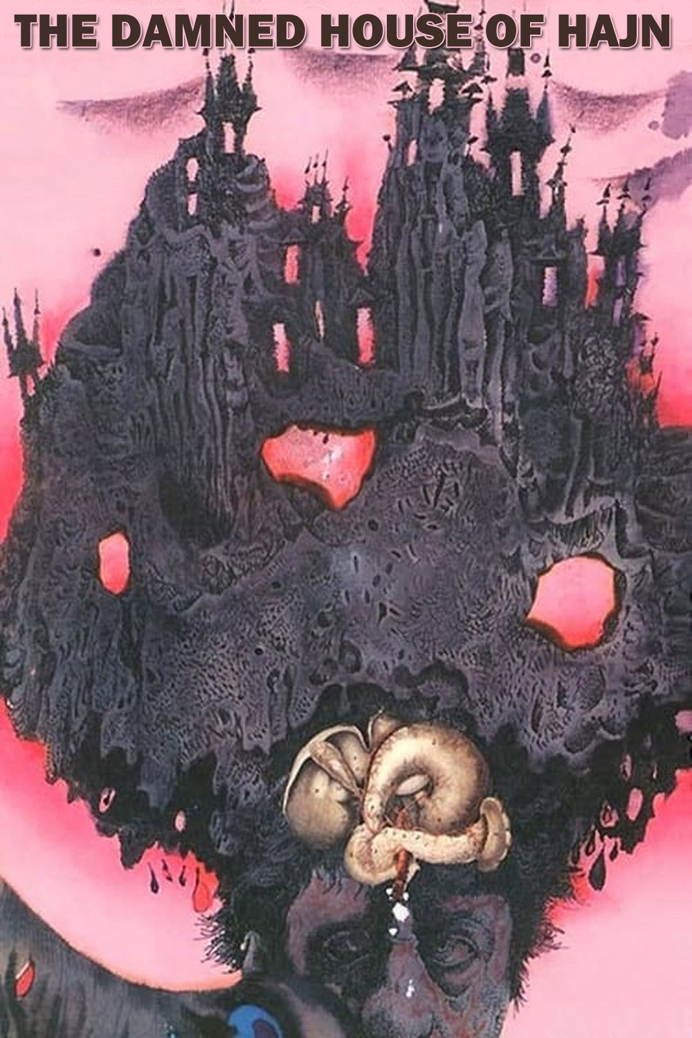 The Damned House of Hajn (1989) poster