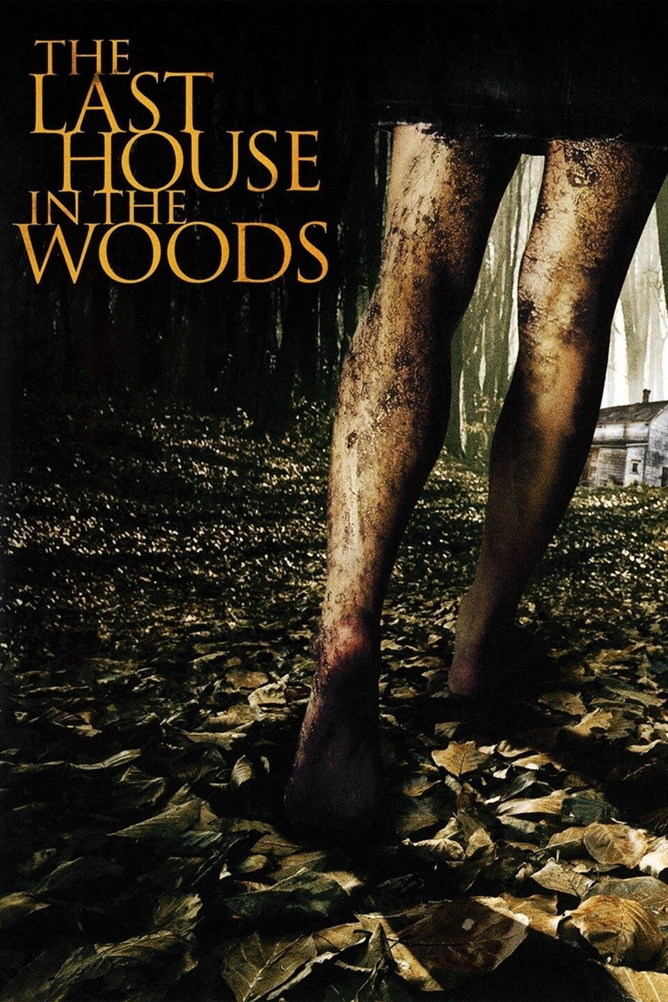 The Last House in the Woods (2006) poster