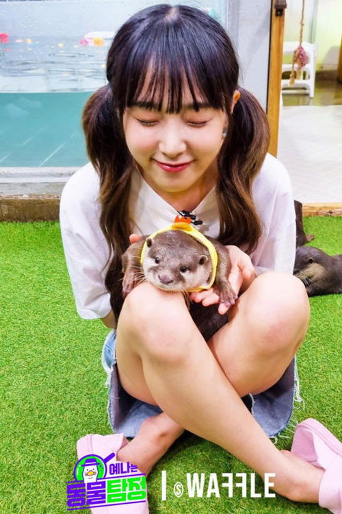 Animal Detective Yena (2021) poster