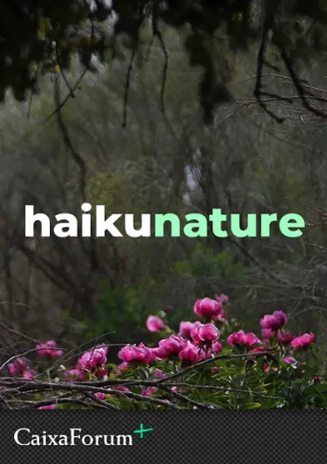 Haiku Nature (2022) poster