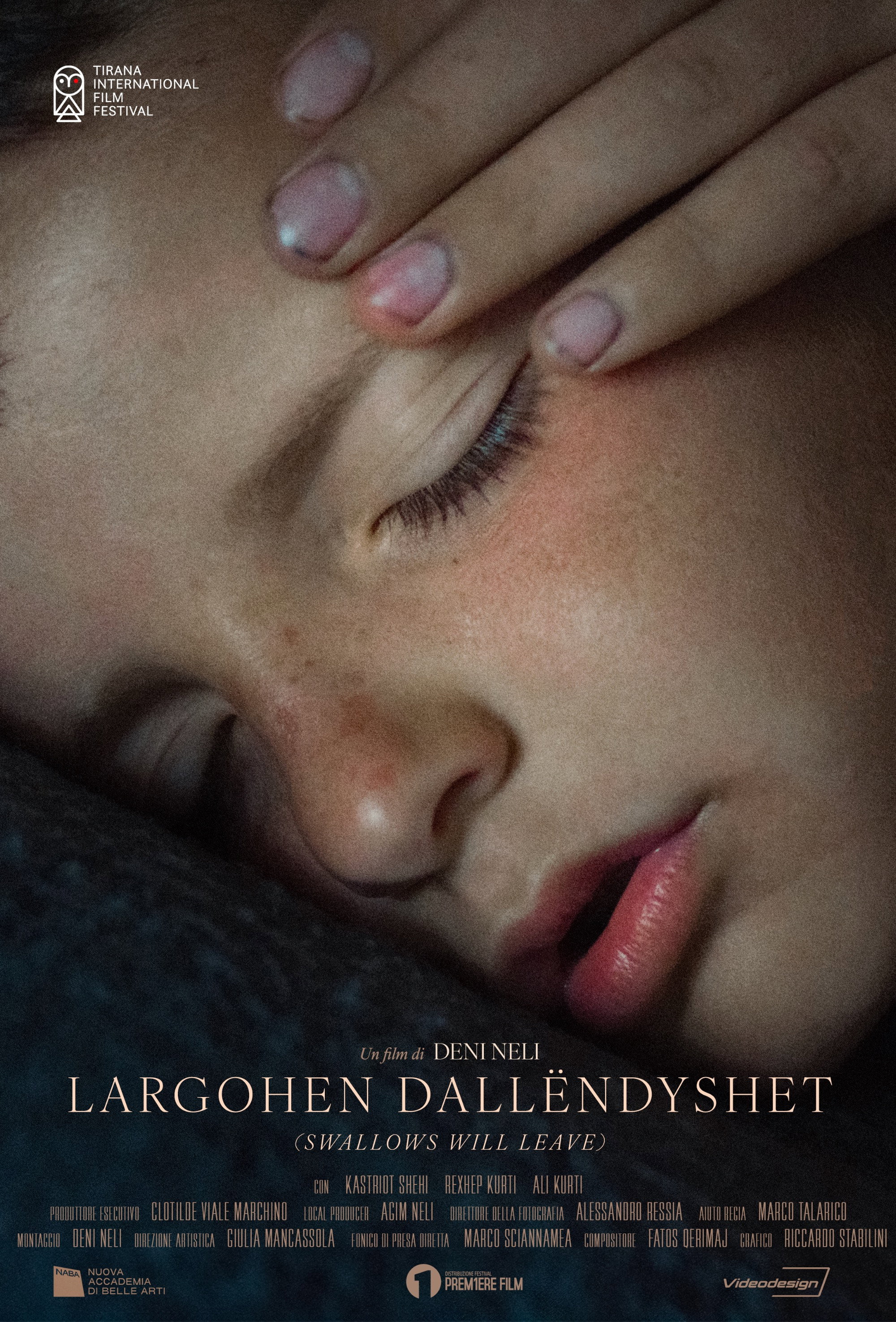 Largohen Dallëndyshet (2026) poster