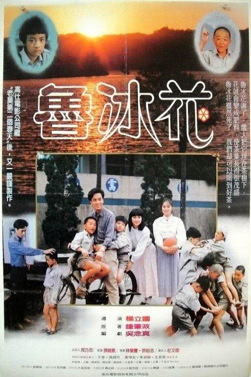 The Dull-Ice Flower (1989) poster