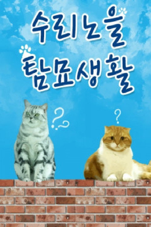 수리노을 탐묘생활 (2017) poster