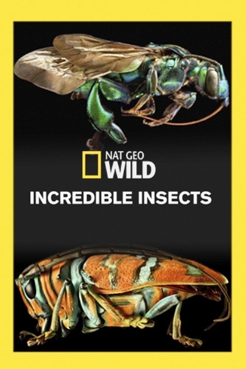 Incredible Insects (2016) poster