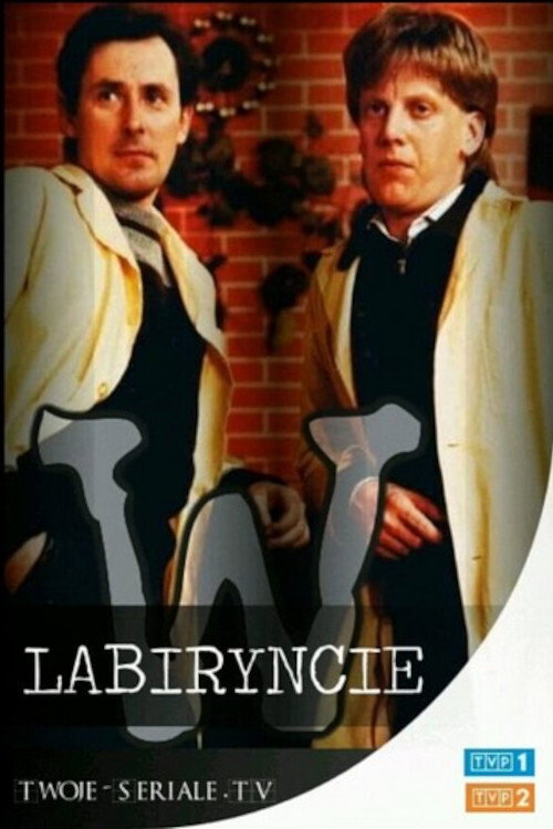W labiryncie (1988) poster