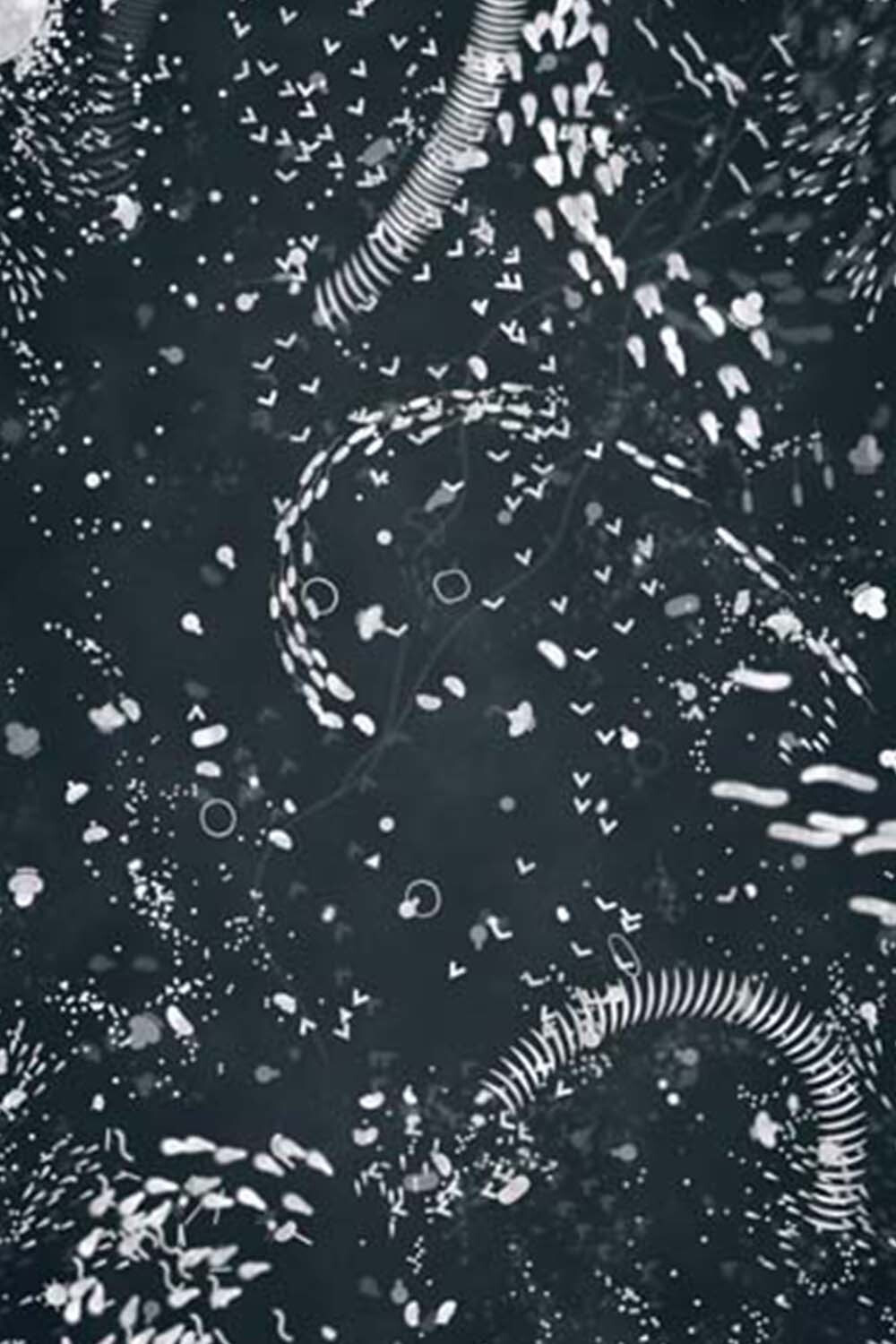 A4 Microcosm (2018) poster
