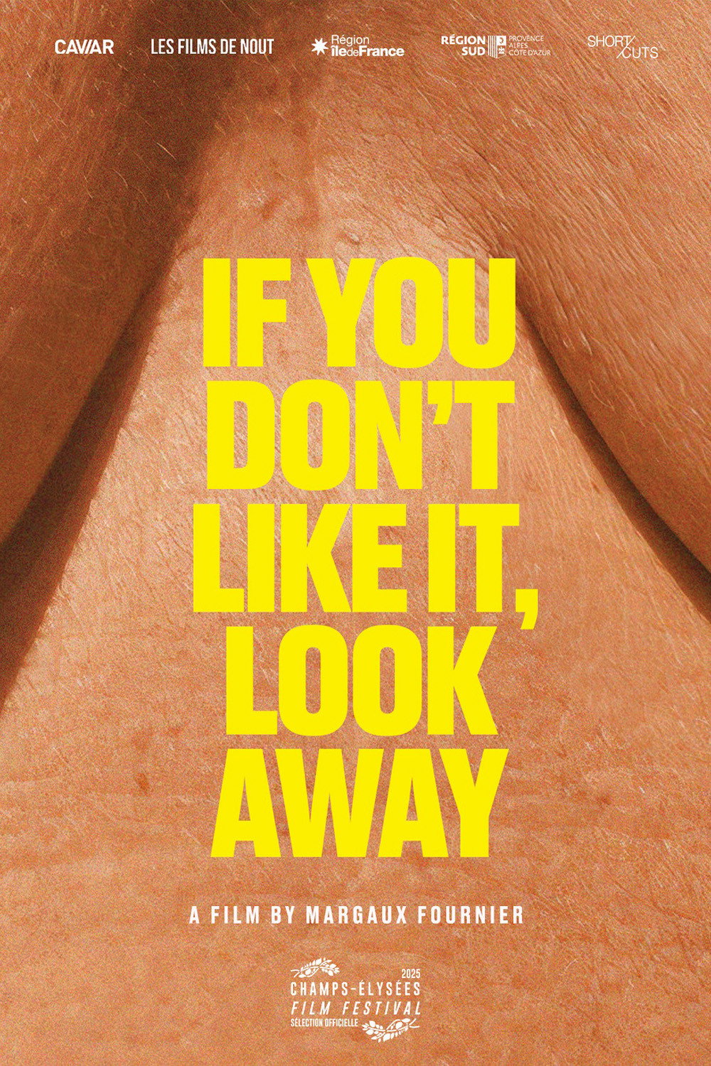 If You Don't Like It, Look Away (2025) poster