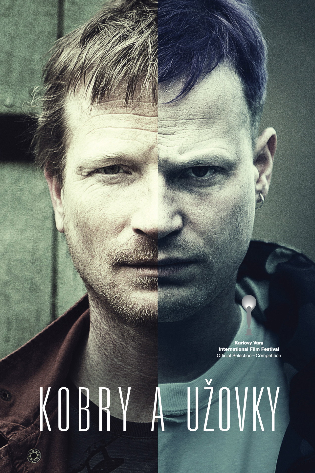 The Snake Brothers (2015) poster