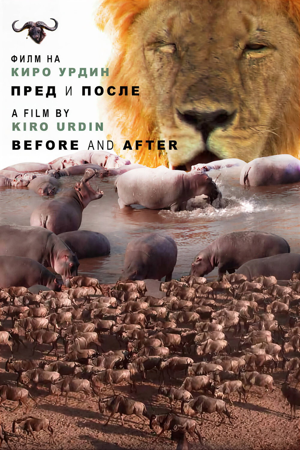 Before and After (2022) poster