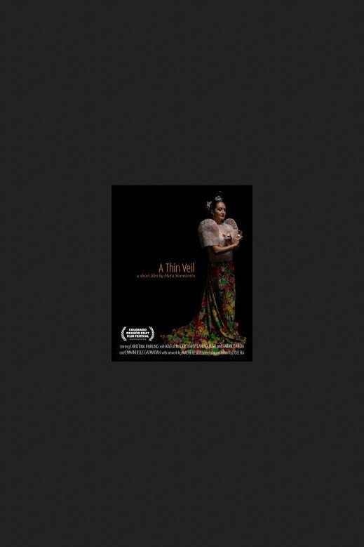 A Thin Veil (2026) poster