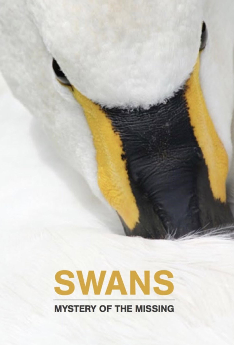 Swans: Mystery of the Missing (2019) poster