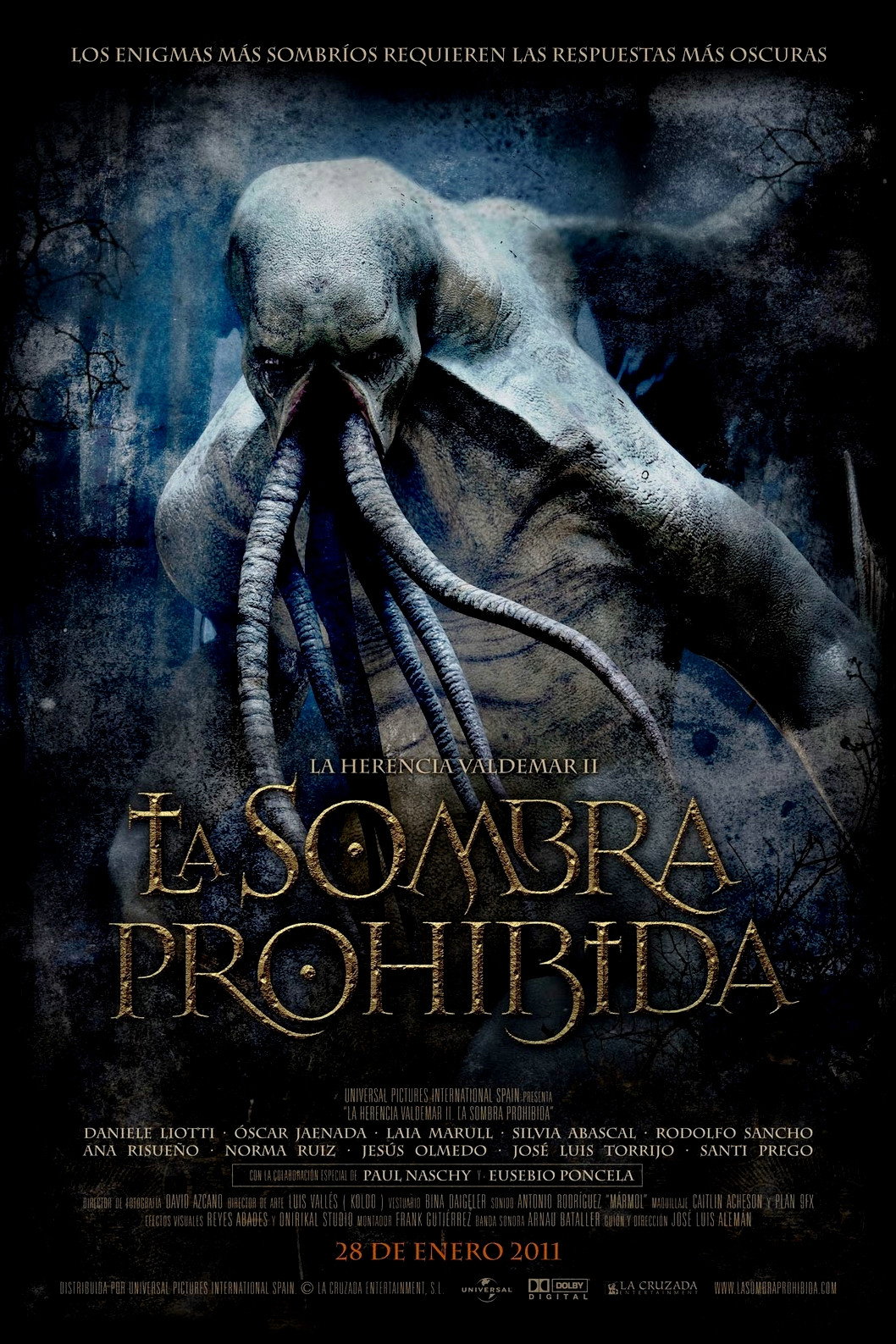 The Valdemar Legacy II: The Forbidden Shadow (2010) poster