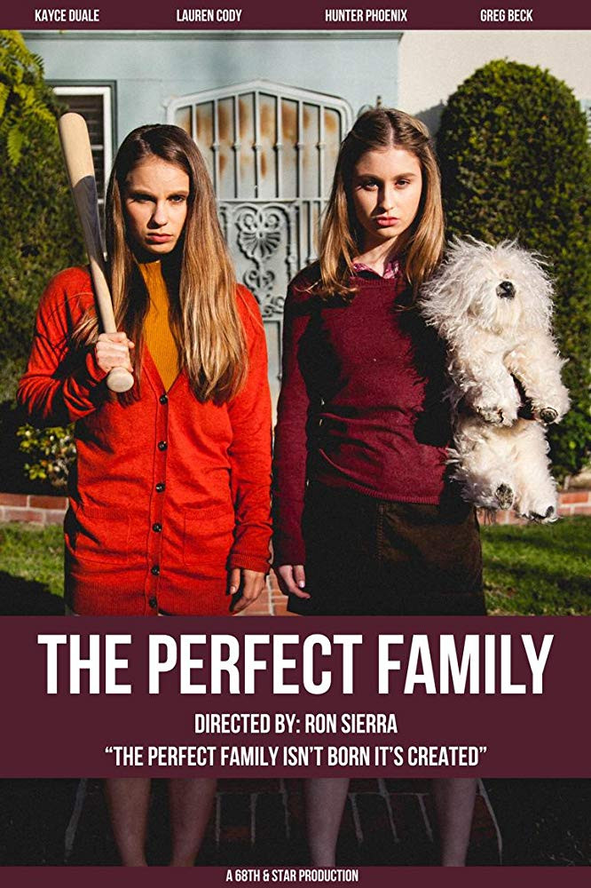 The Perfect Family (2016) poster