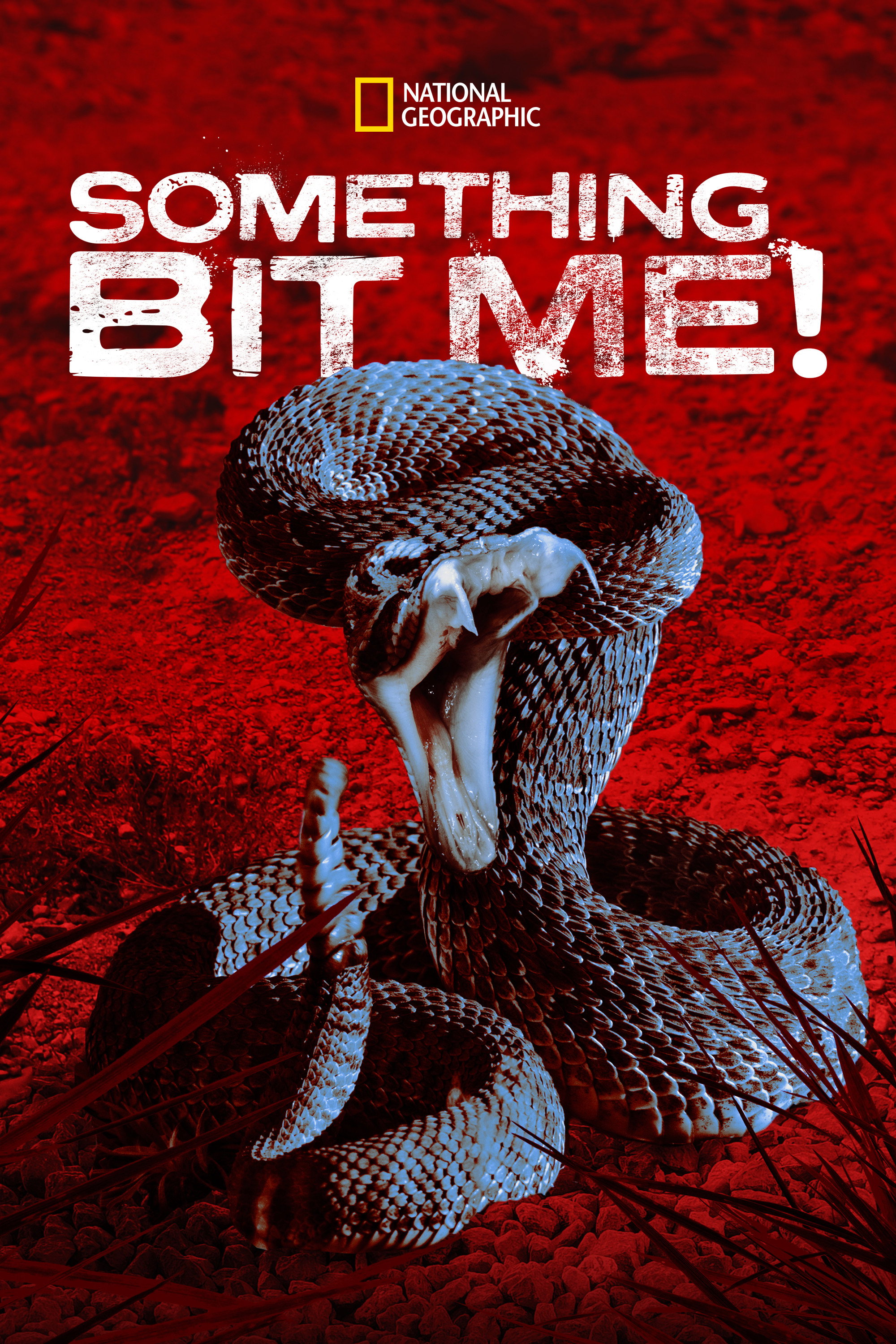 Something Bit Me! (2022) poster