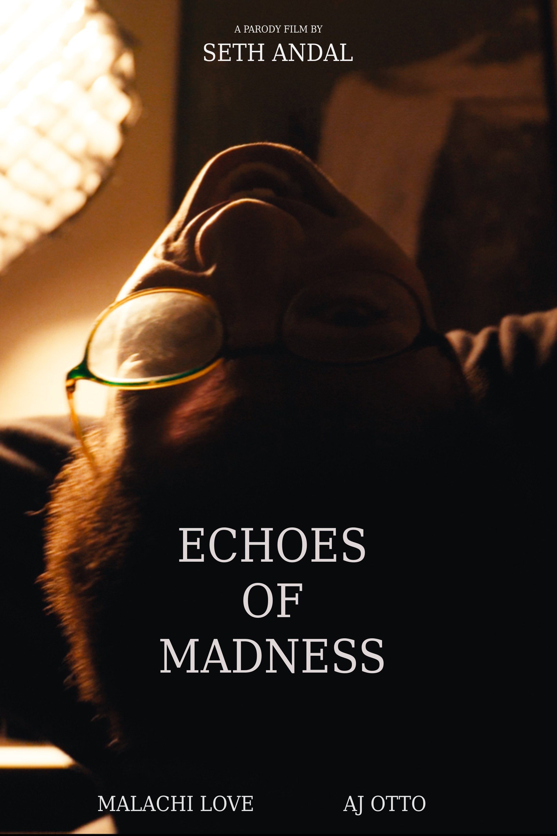 Echoes of Madness (2024) poster