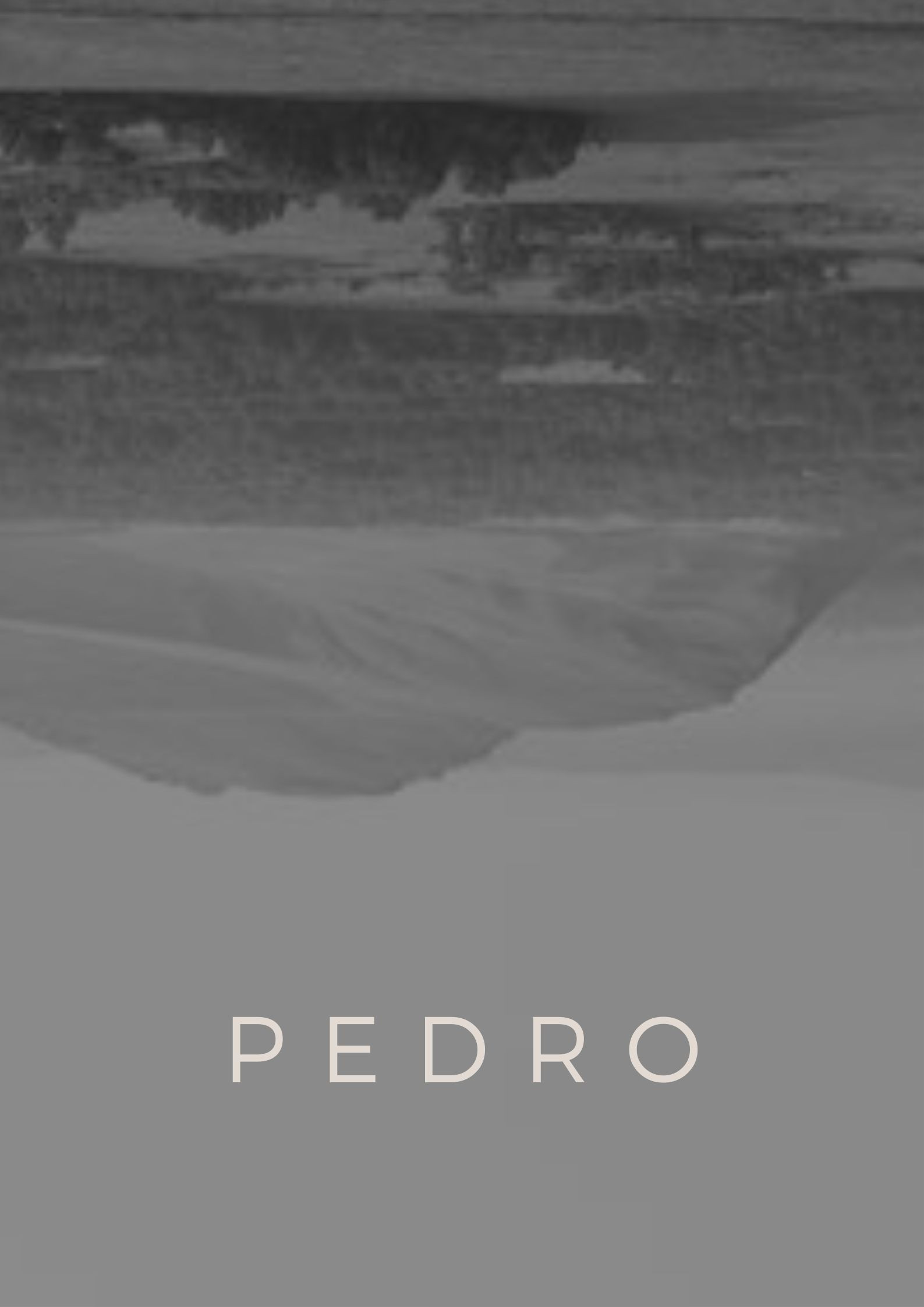 Pedro (2026) poster