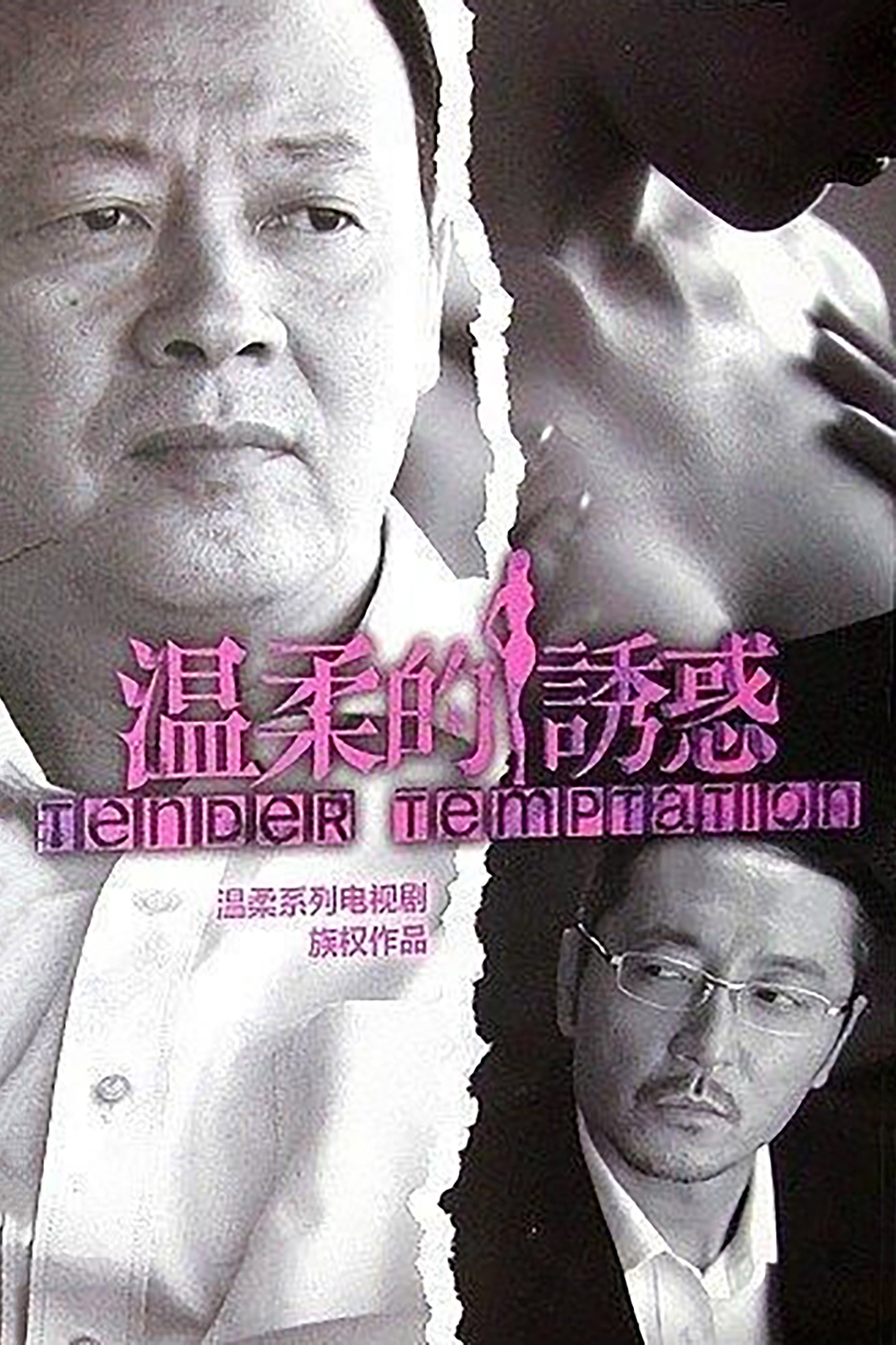 Tender Temptation (2014) poster