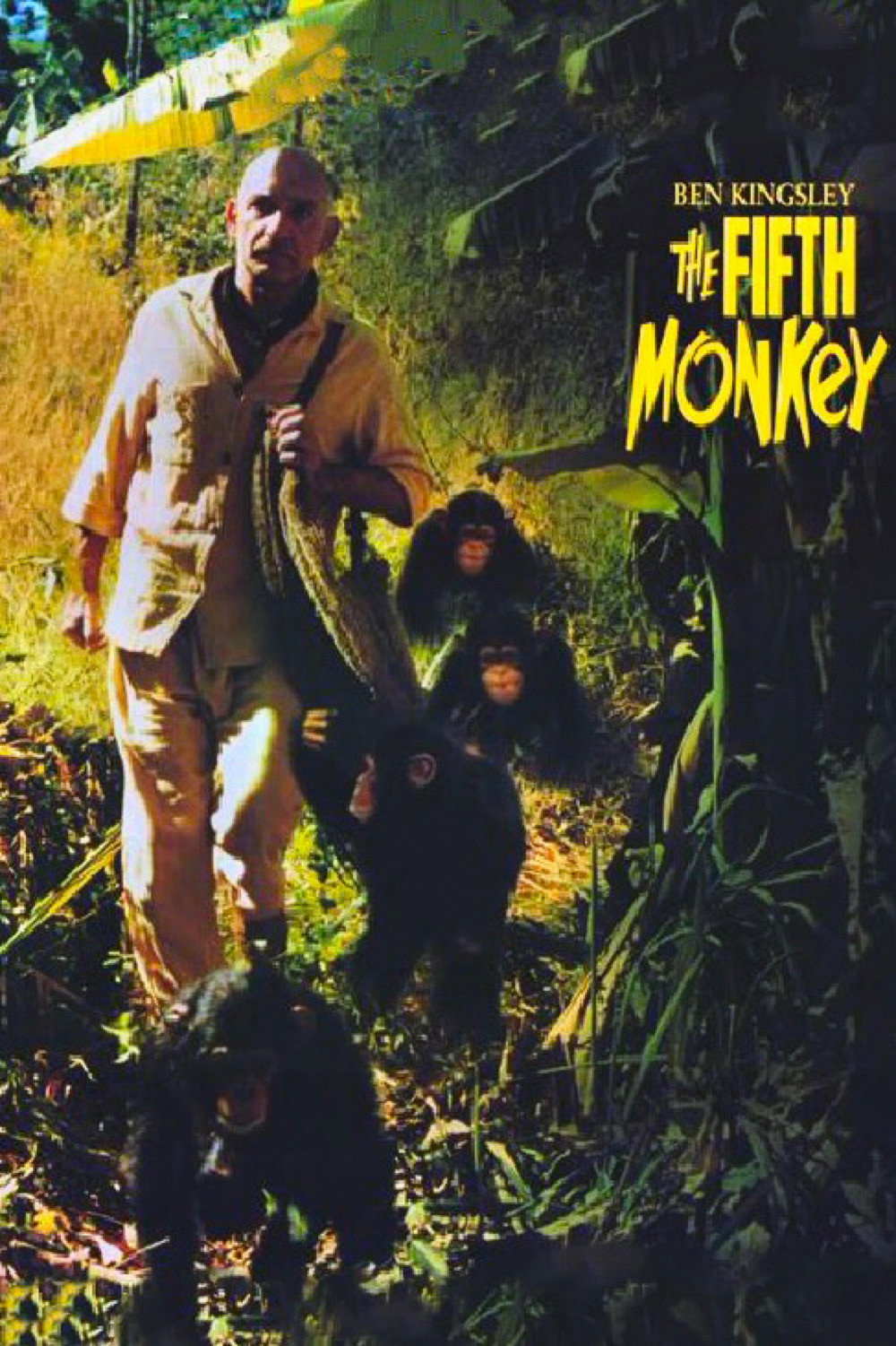 The Fifth Monkey (1990) poster