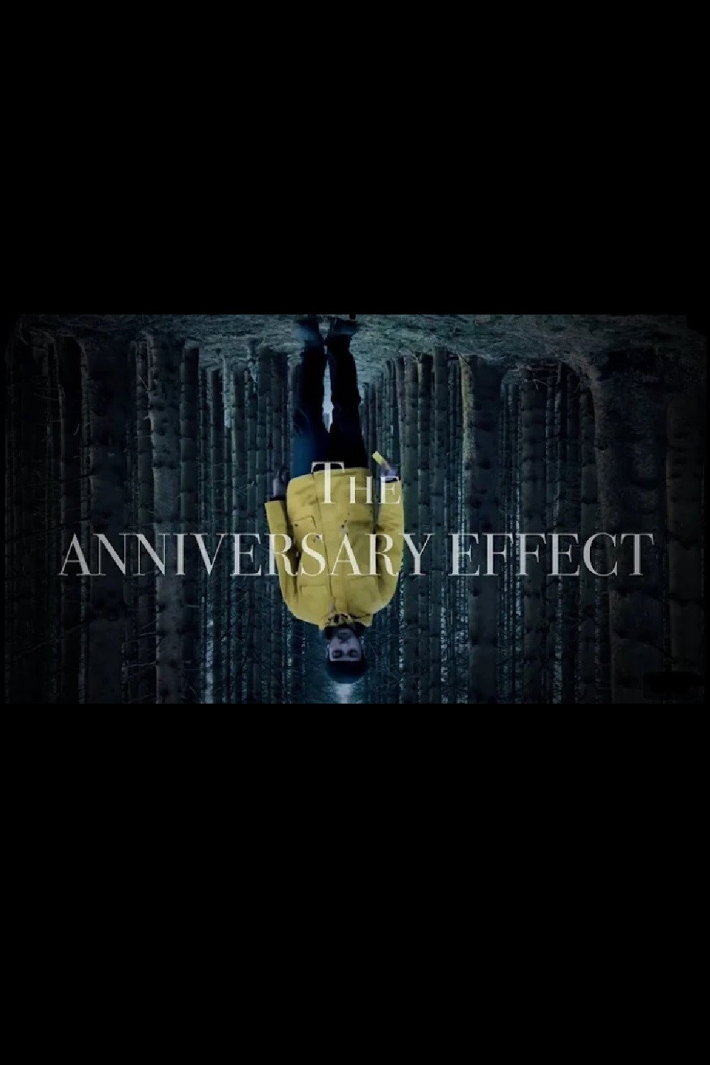 The Anniversary Effect (2024) poster