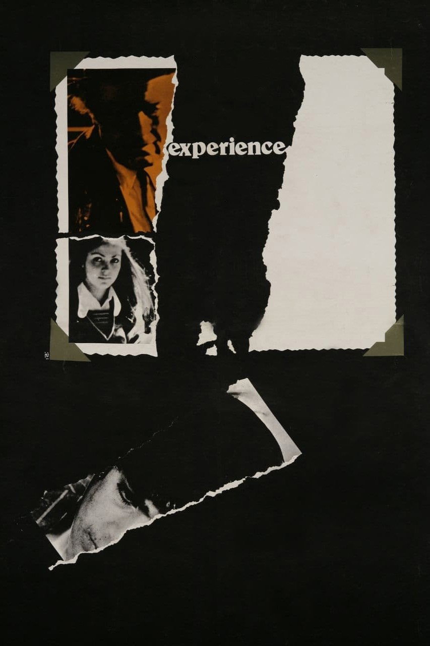 The Experience (1973) poster