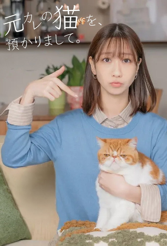 I’m Taking Care of My Ex’s Cat. (2026) poster