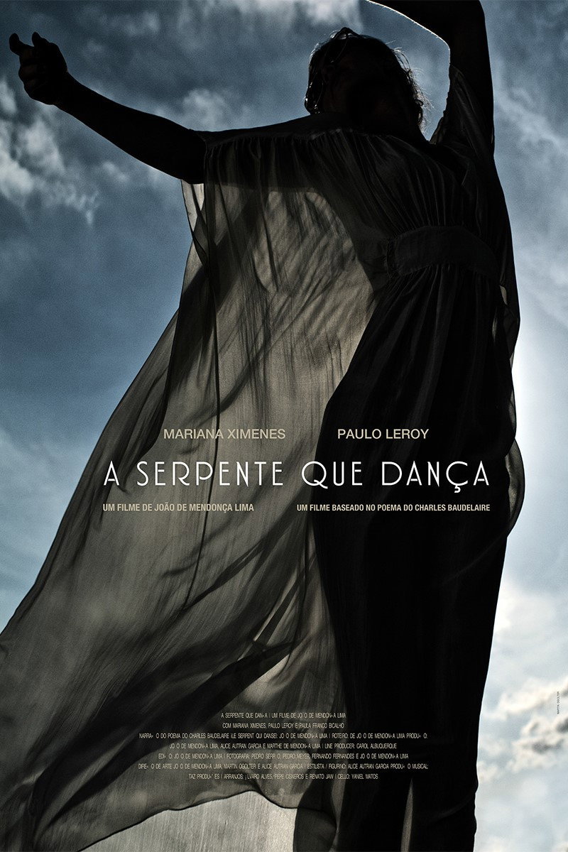 The Dancing Snake (2013) poster