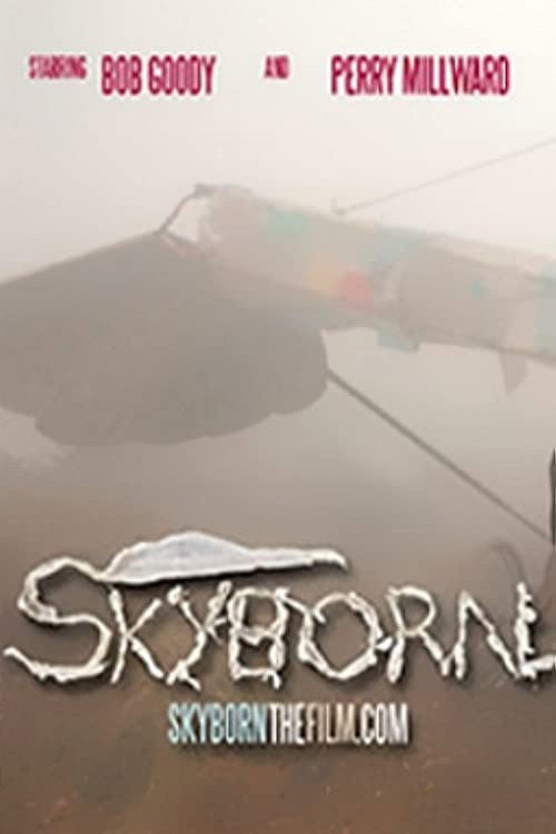 Skyborn (2012) poster