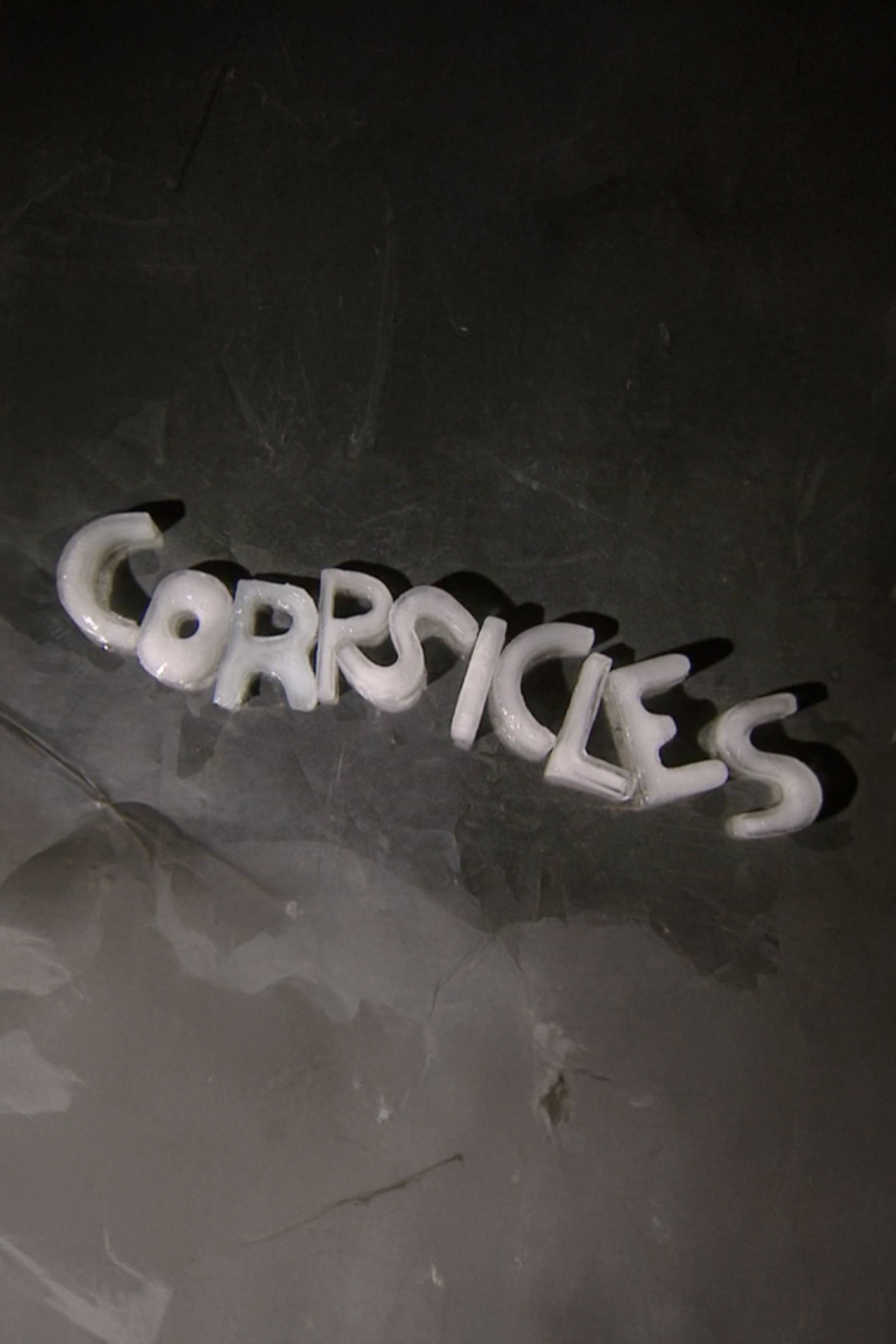 Corpsicles (2008) poster