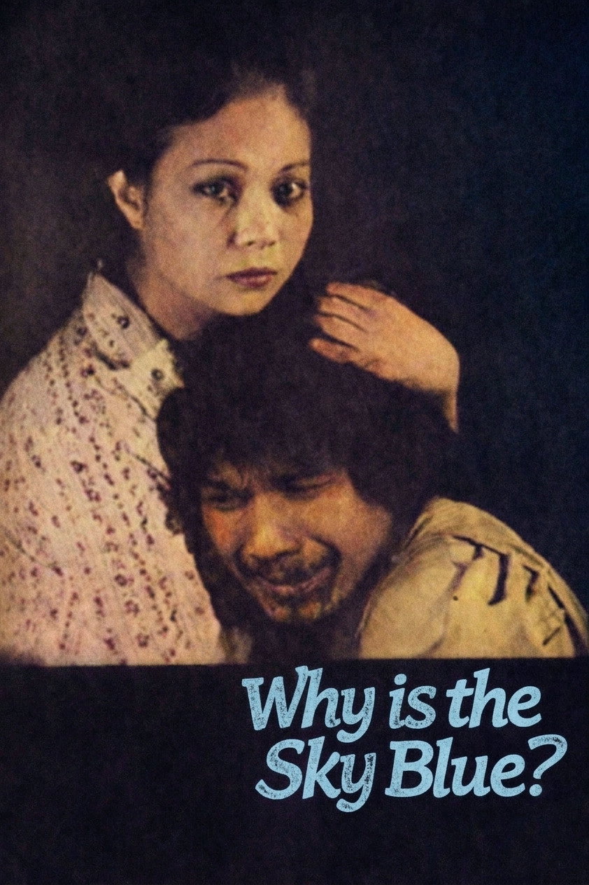Why Is the Sky Blue? (1981) poster