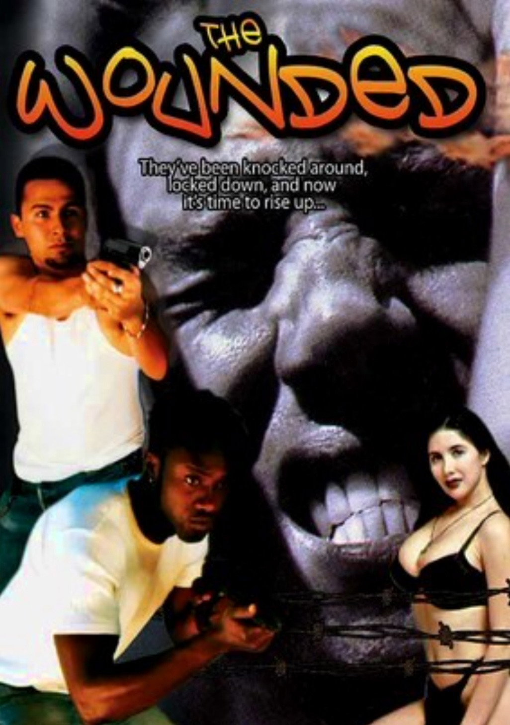 The Wounded (2003) poster