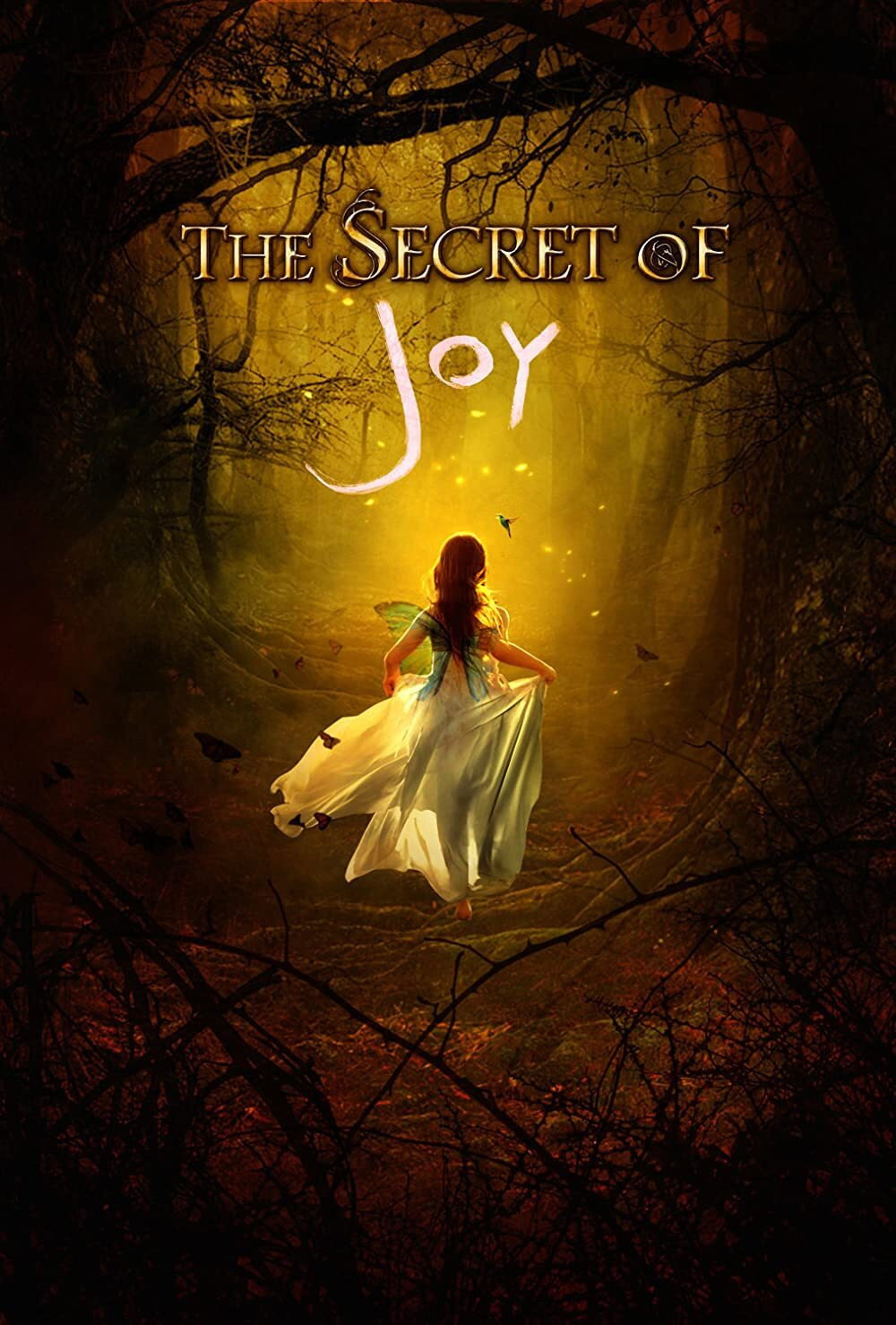The Secret of Joy (2016) poster