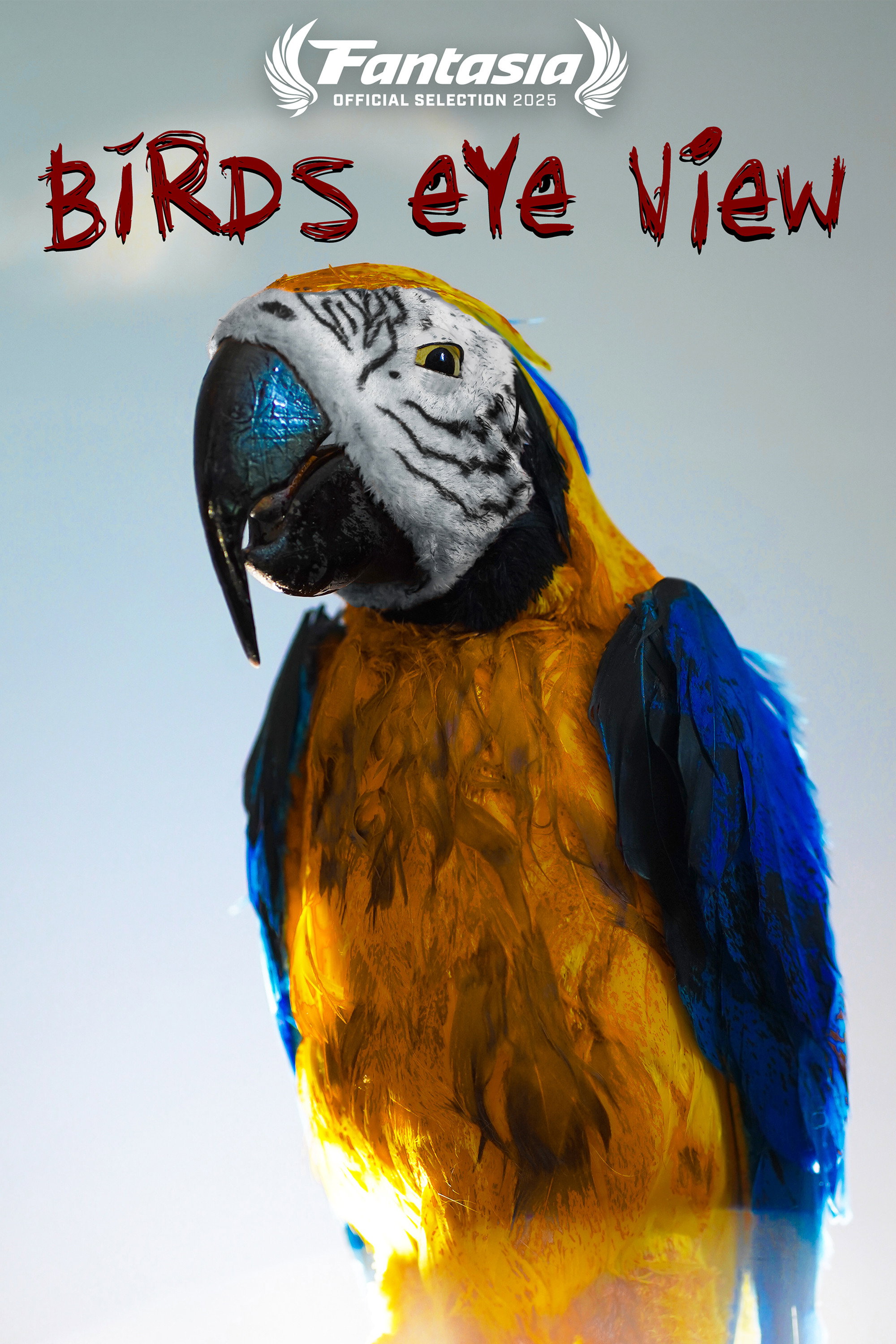 Bird's Eye View (2025) poster