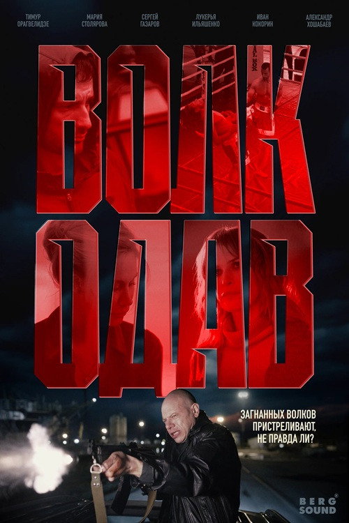 Волкодав (2025) poster