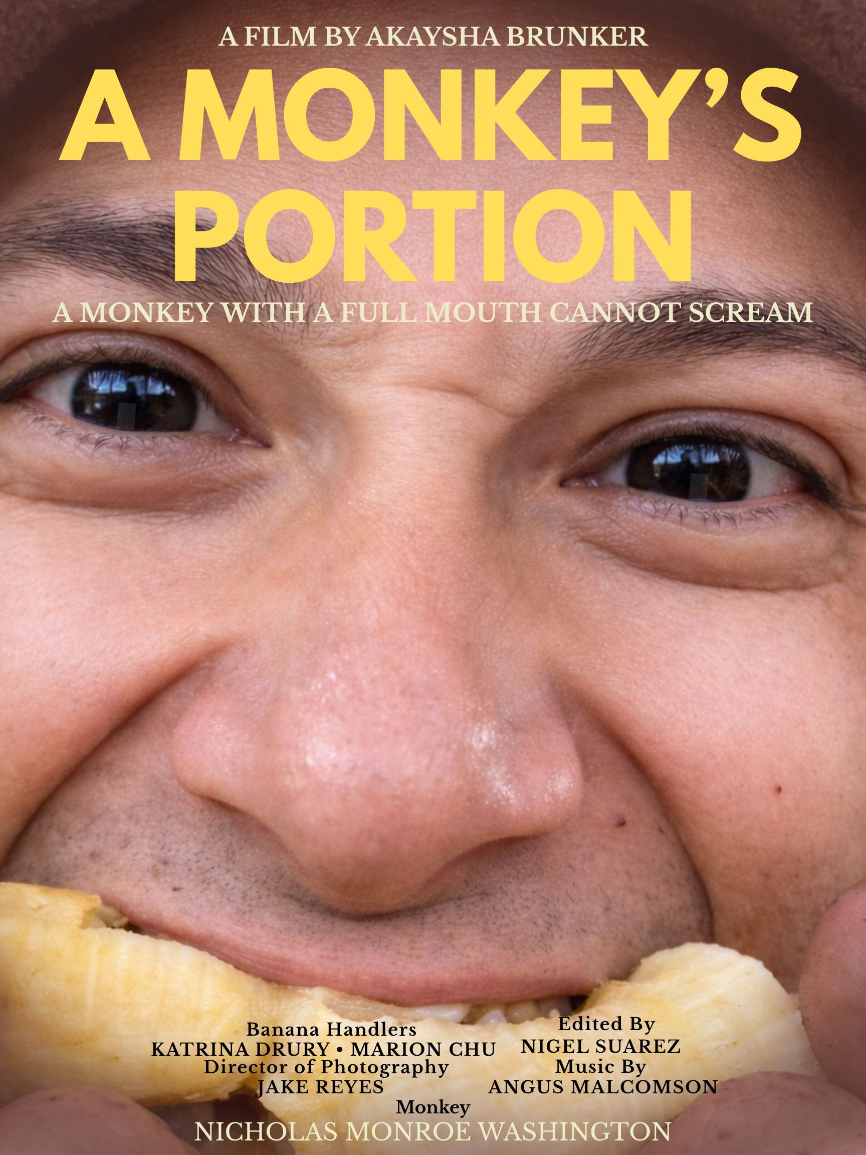A Monkey's Portion (2026) poster