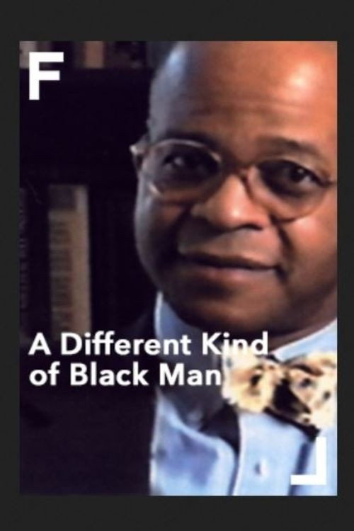 A Different Kind of Black Man (2002) poster
