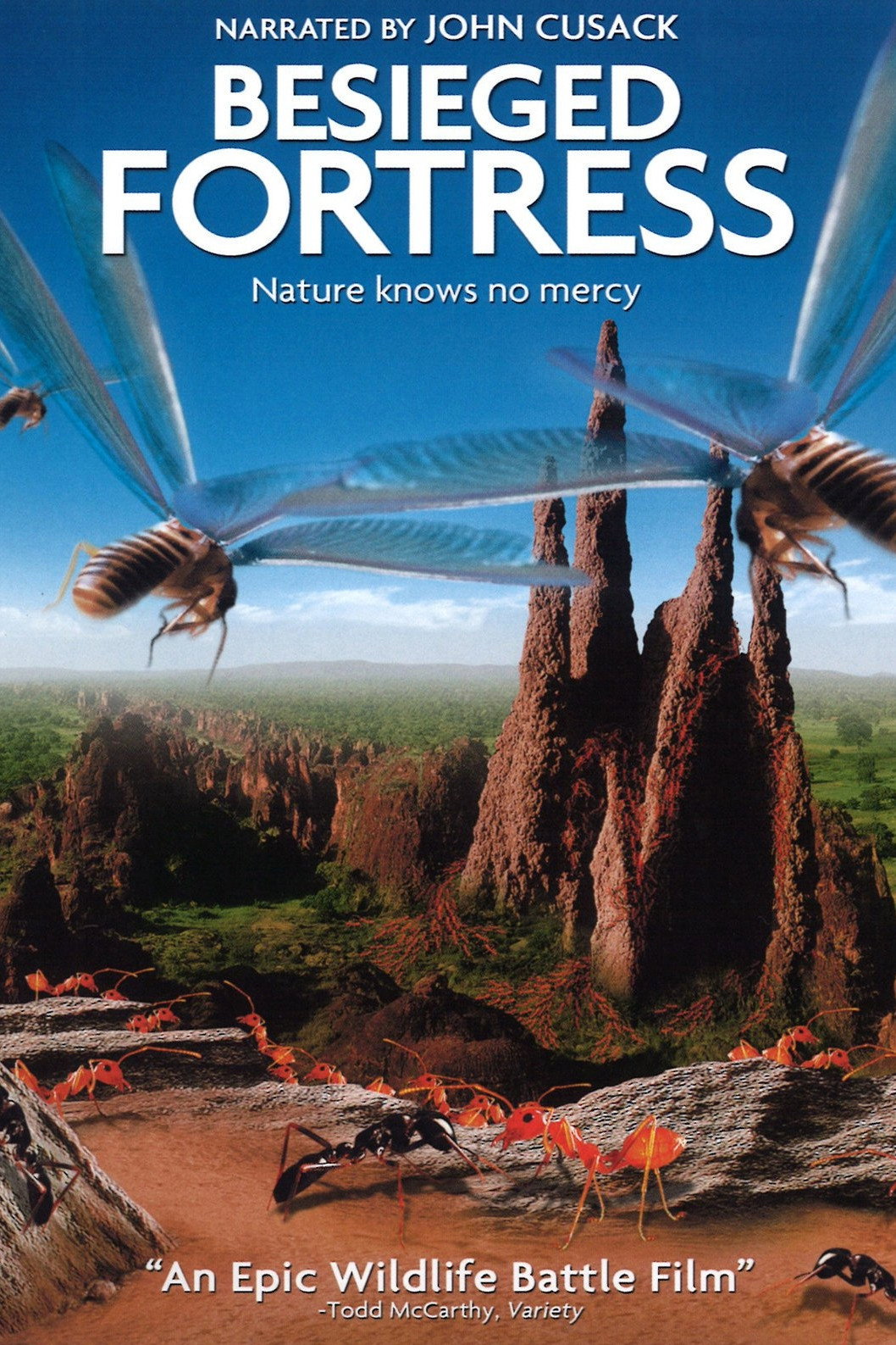 The Besieged Fortress (2006) poster