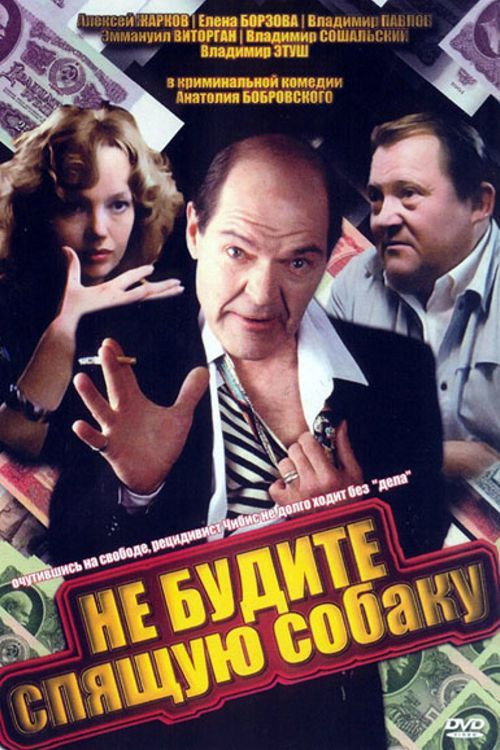 Don't Wake a Sleeping Dog (1991) poster