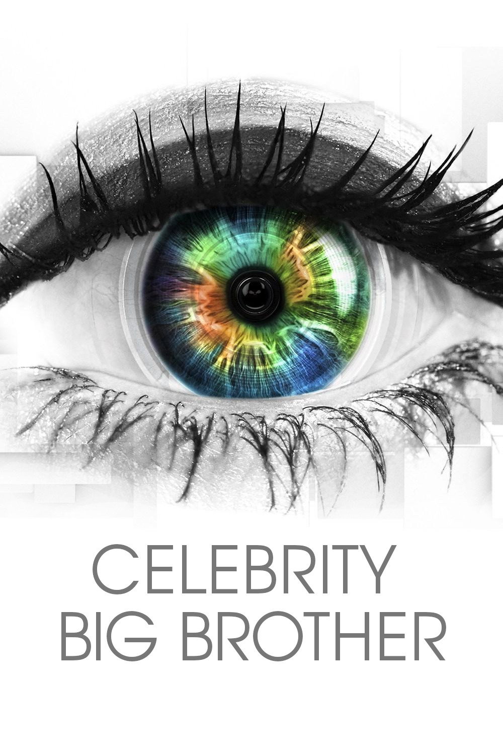 Celebrity Big Brother (2001) poster