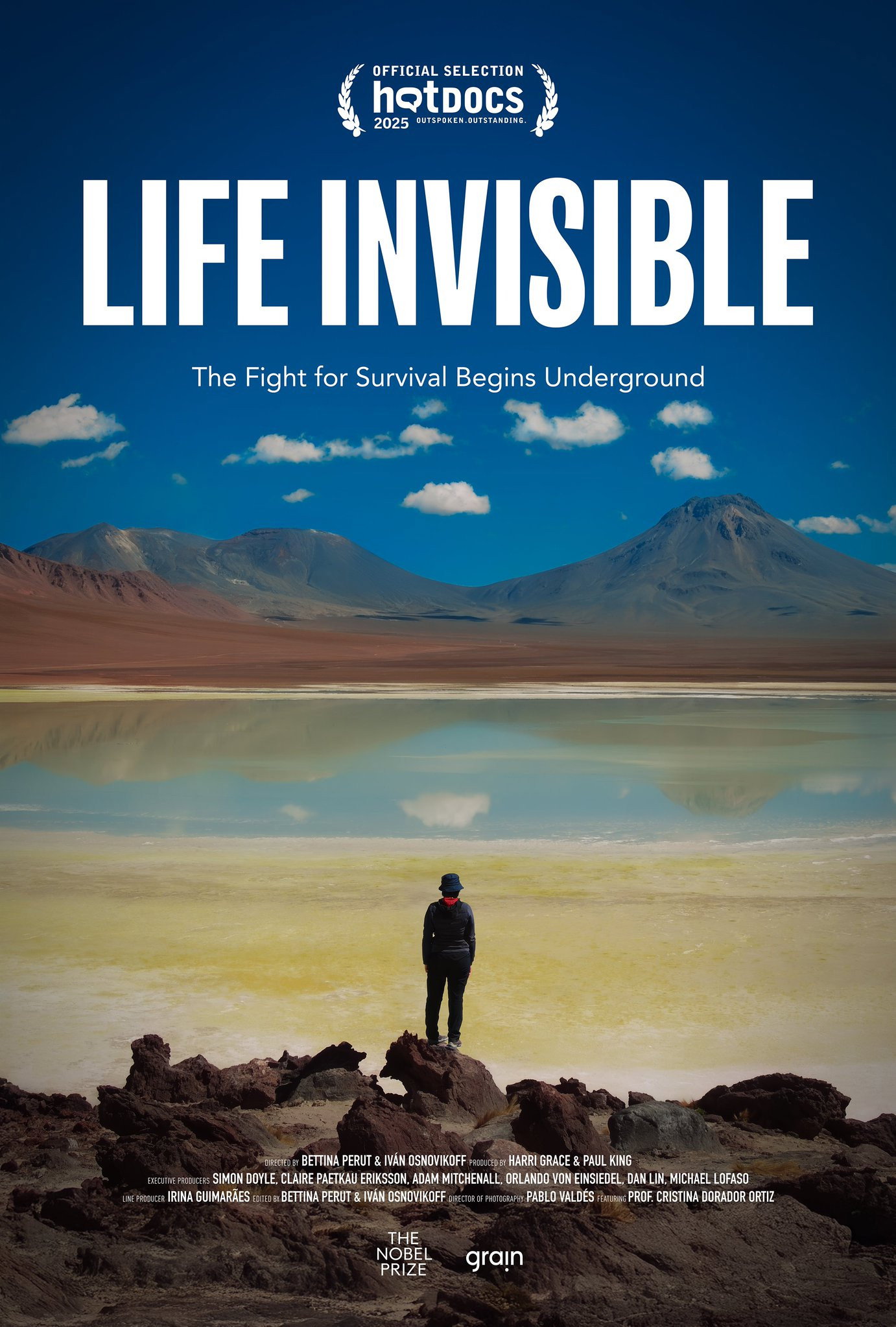 Life Invisible (2025) poster