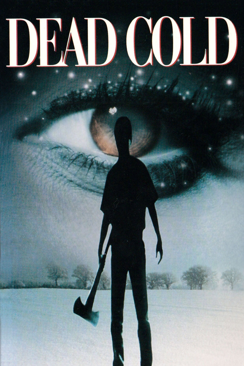 Dead Cold (1996) poster