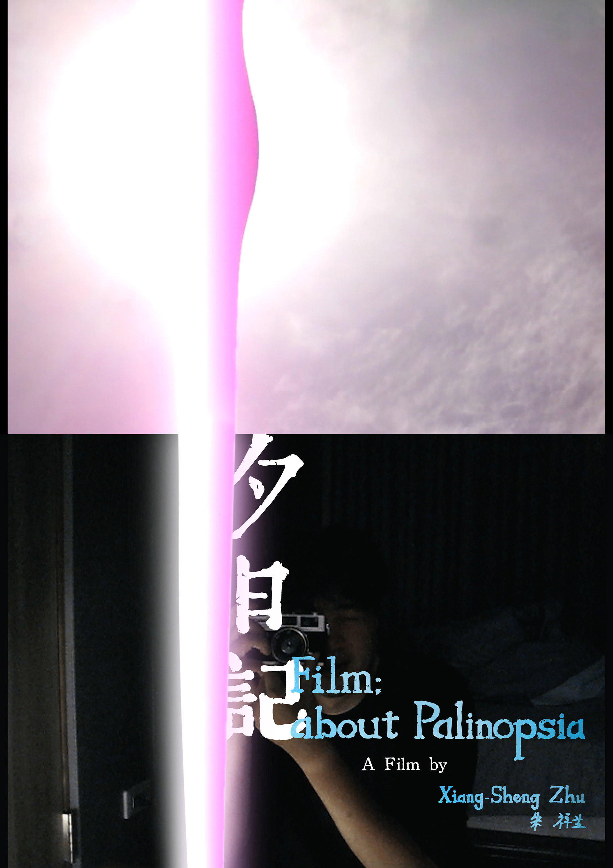 Film; about Palinopsia (2026) poster
