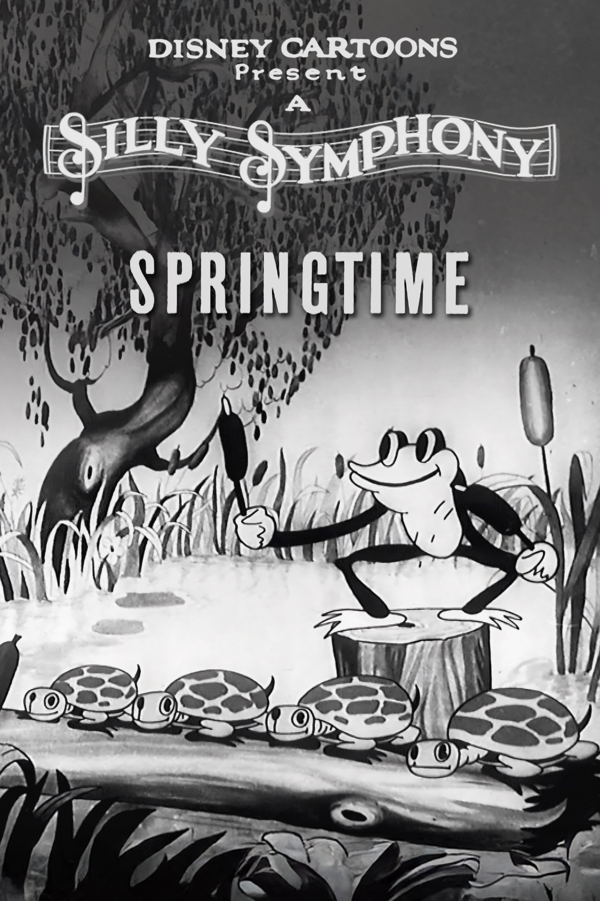 Springtime (1929) poster