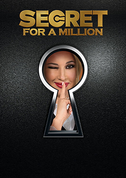 Secret For a Million (2016) poster