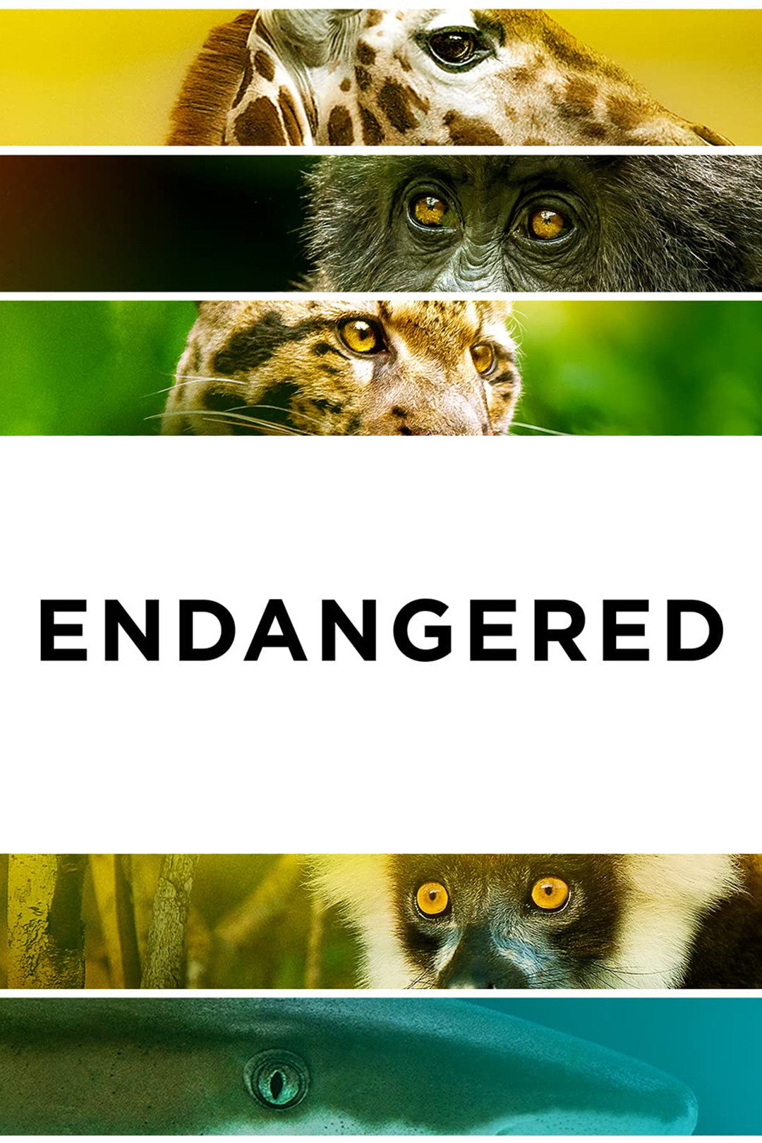 Endangered (2021) poster